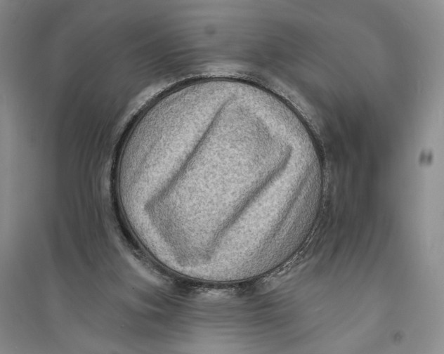 X0000094070155200711091200