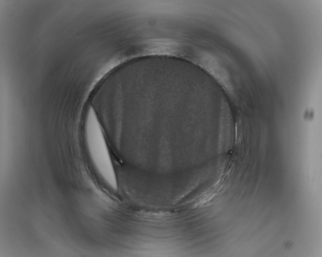 X0000094070156200711091200