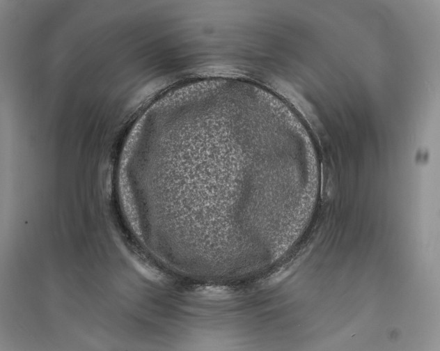 X0000094070157200711091200