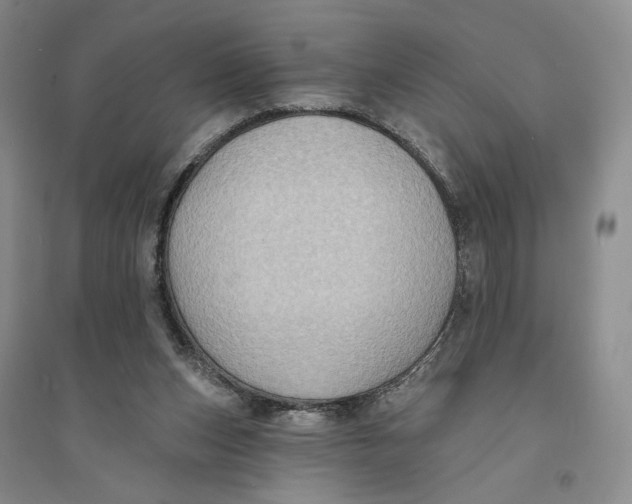 X0000094070159200711091200