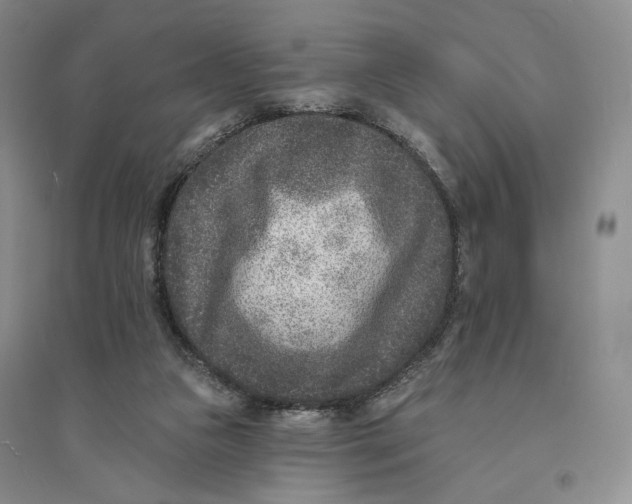 X0000094070161200711091200