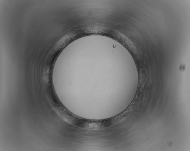 X0000094070163200711091200