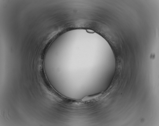 X0000094070164200711091200