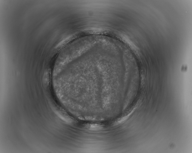 X0000094070165200711091200
