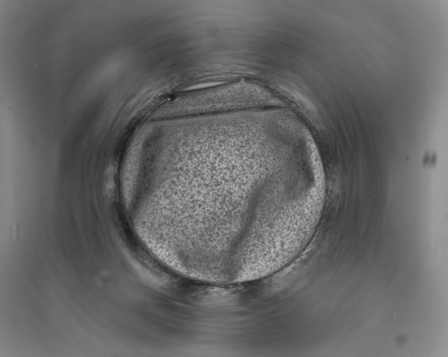 X0000094070166200711091200