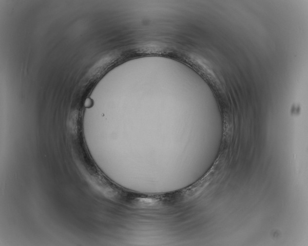 X0000094070167200711091200