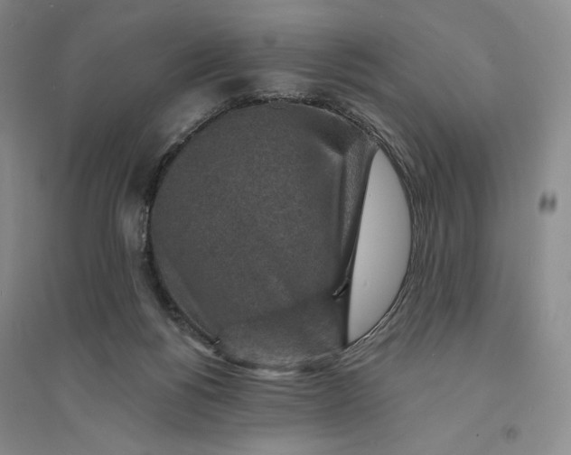 X0000094070168200711091200