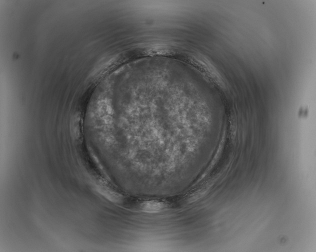 X0000094070169200711091200