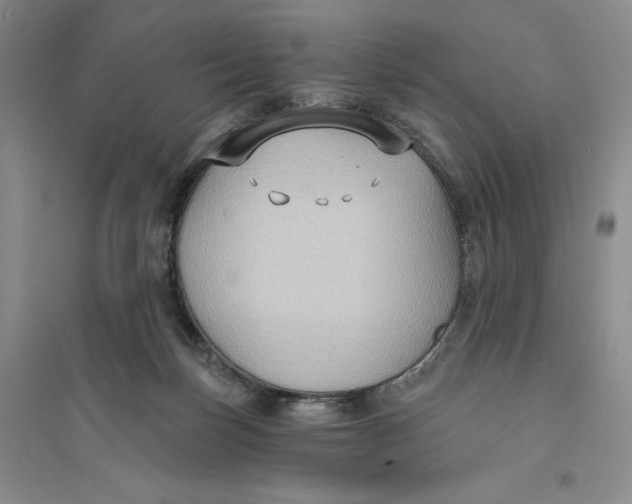 X0000094070171200711091200