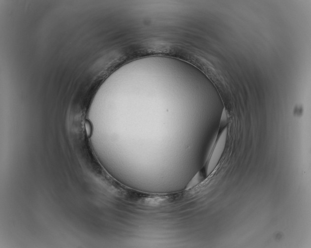 X0000094070172200711091200