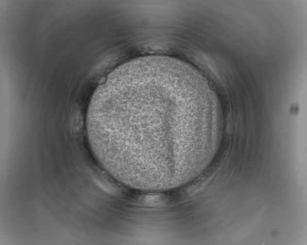 X0000094070173200711091200