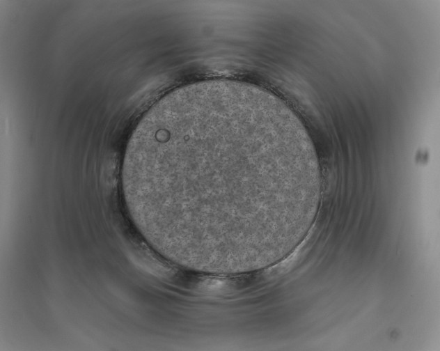 X0000094070174200711091200
