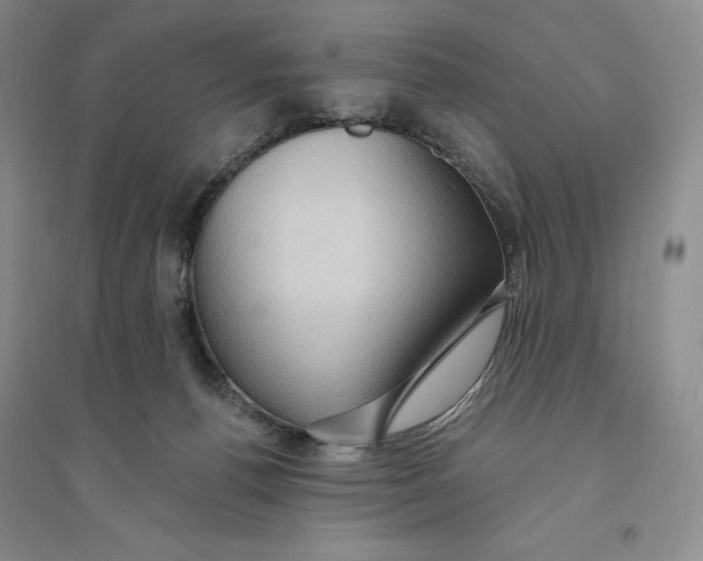 X0000094070176200711091200