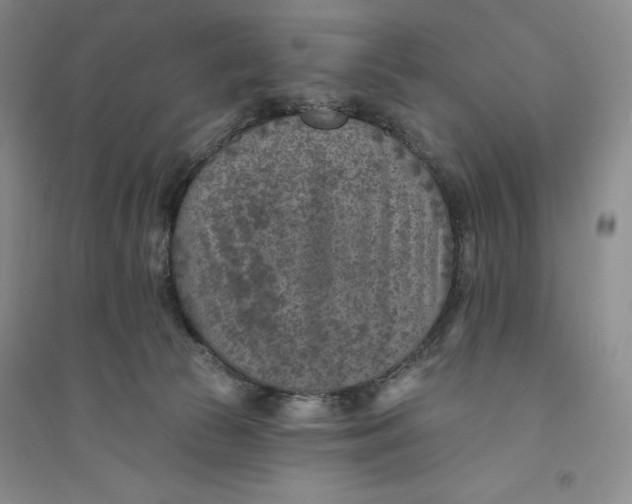 X0000094070177200711091200