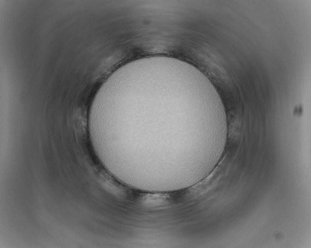 X0000094070179200711091200