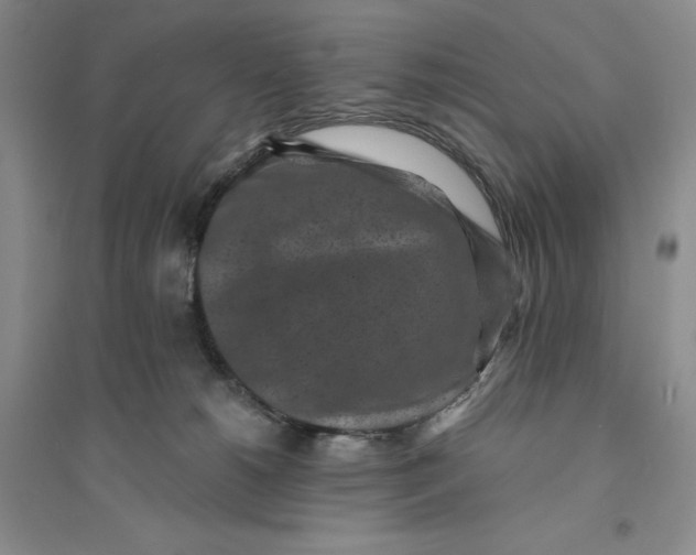 X0000094070180200711091200