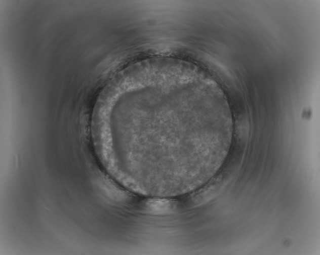 X0000094070181200711091200