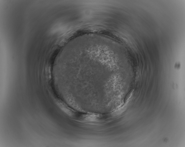 X0000094070182200711091200
