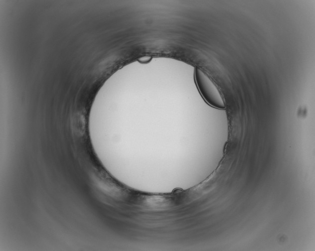X0000094070183200711091200