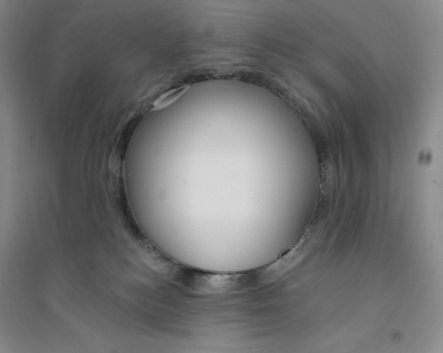 X0000094070184200711091200
