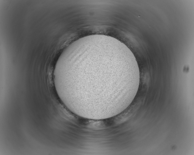 X0000094070185200711091200