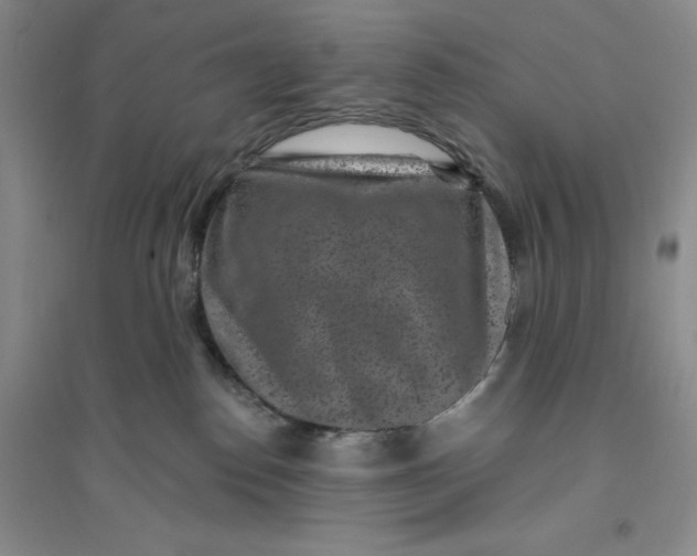 X0000094070186200711091200