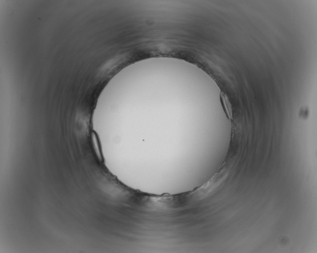 X0000094070188200711091200