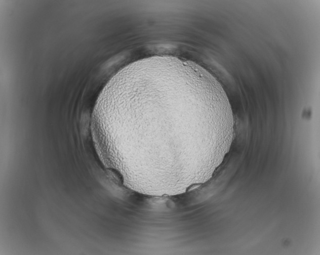 X0000094070189200711091200