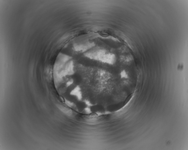 X0000094070191200711091200