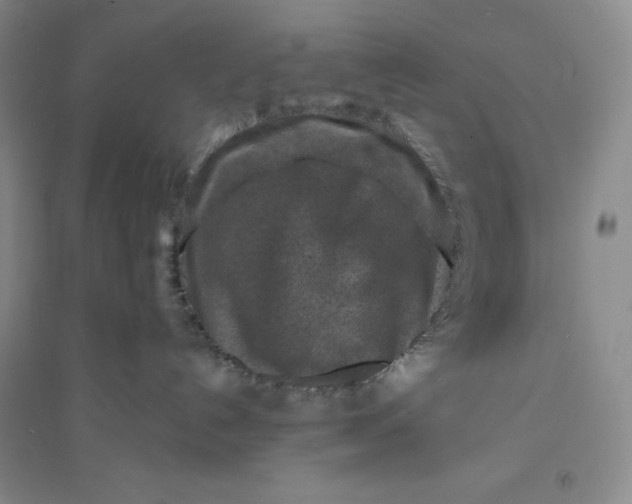 X0000094070192200711091200