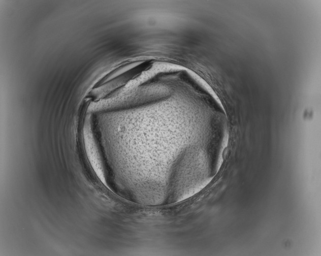 X0000094070194200711091200
