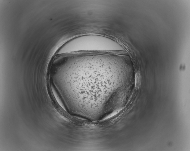 X0000094070195200711091200