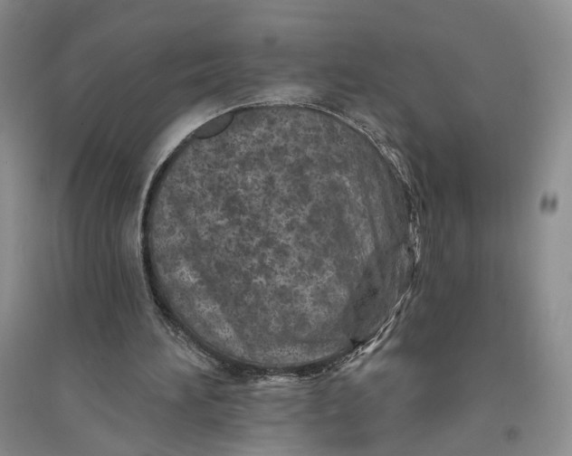 X0000094070196200711091200