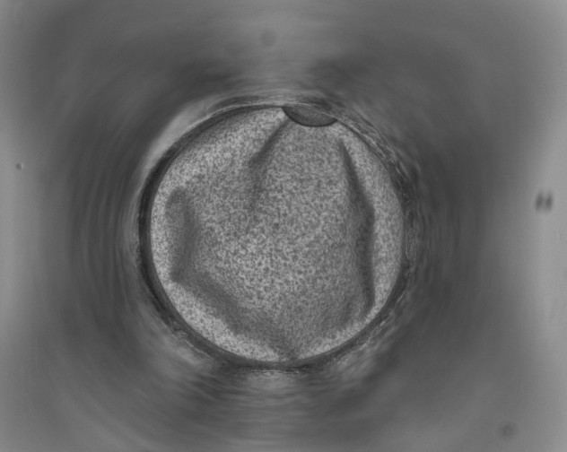 X0000094070198200711091200