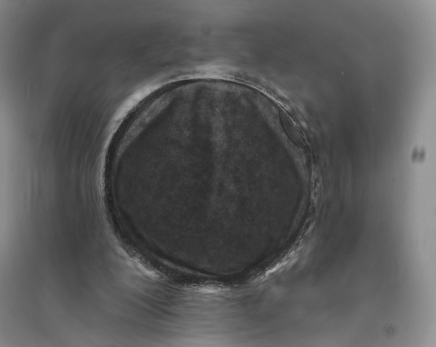 X0000094070200200711091200