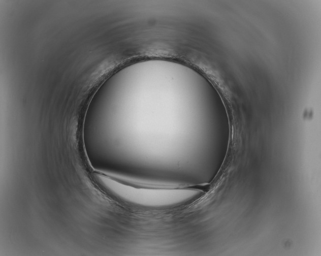 X0000094070201200711091200