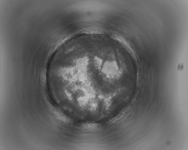 X0000094070202200711091200