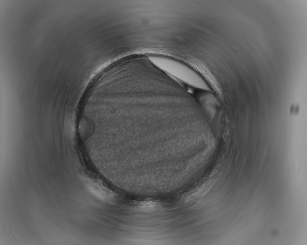 X0000094070204200711091200