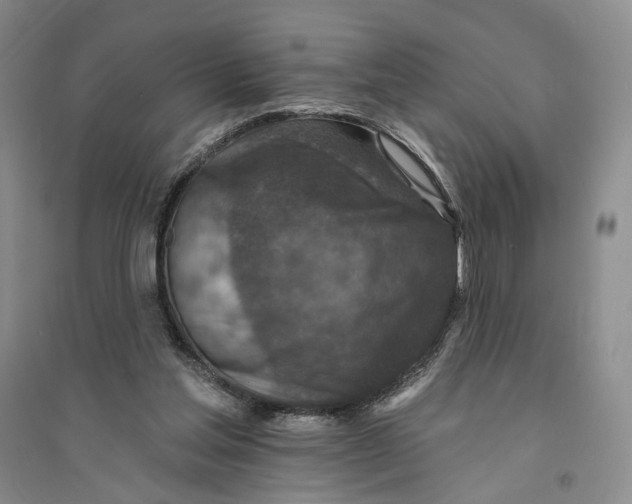 X0000094070205200711091200