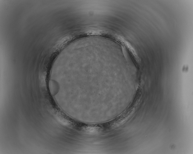 X0000094070209200711091200