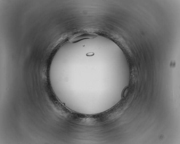 X0000094070212200711091200