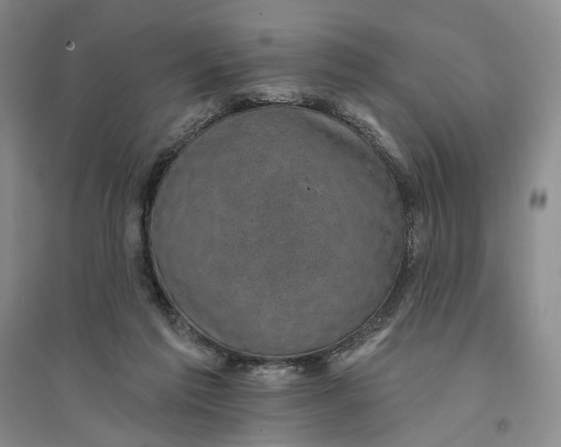 X0000094070213200711091200