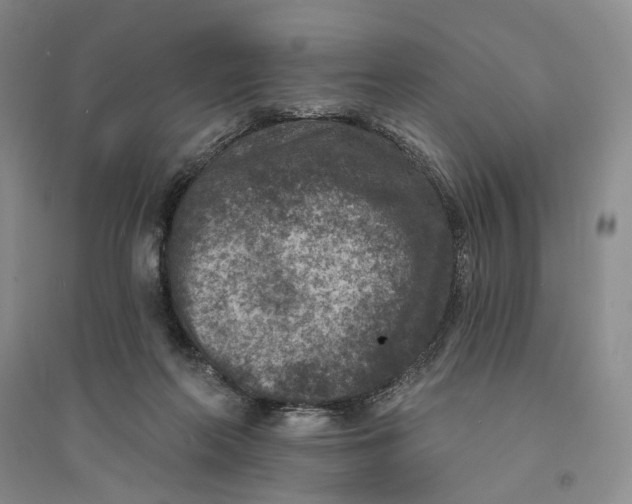 X0000094070214200711091200