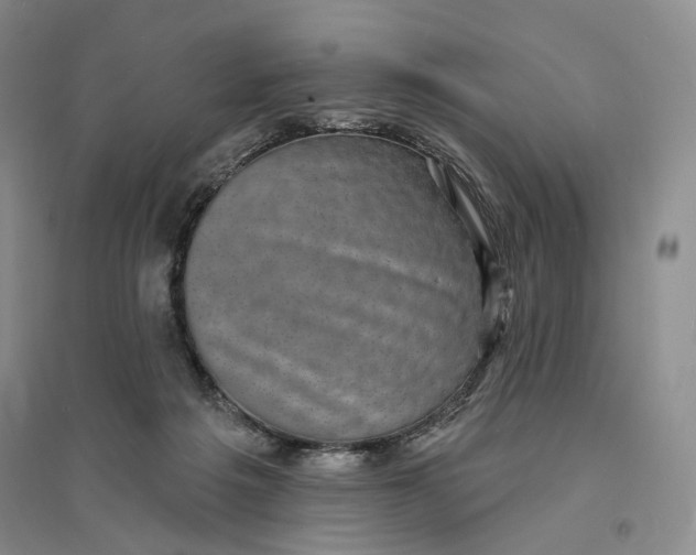 X0000094070217200711091159