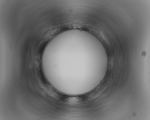 X0000094070218200711091159