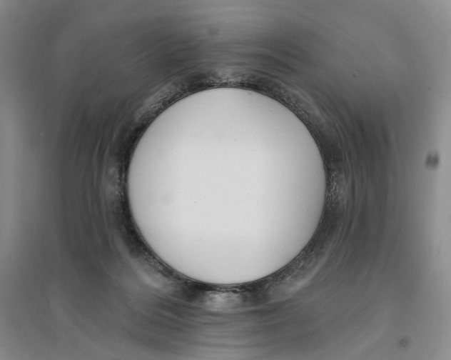 X0000094070220200711091159