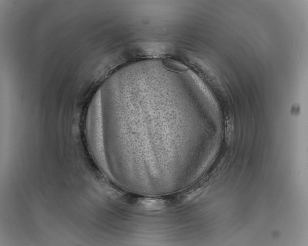 X0000094070221200711091159