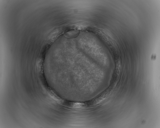 X0000094070222200711091159
