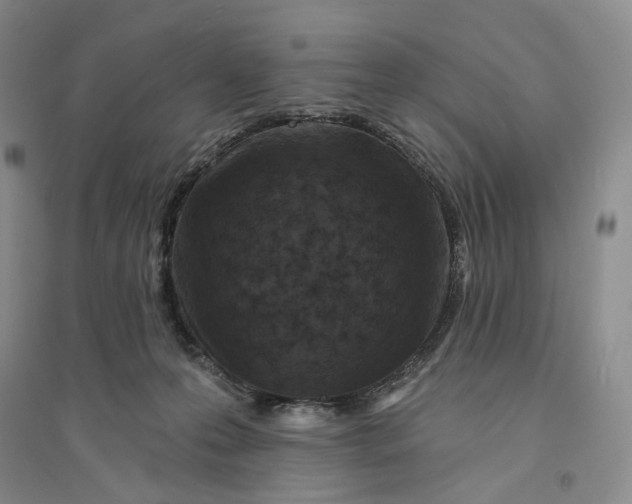 X0000094070223200711091159