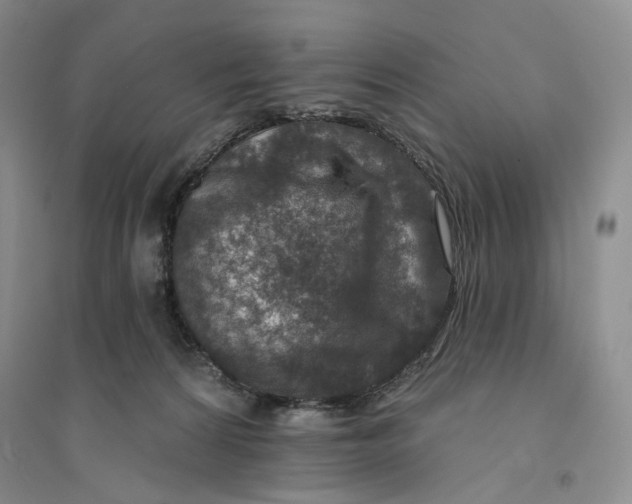 X0000094070224200711091159